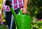 4 astuces pour optimiser l’arrosage des plantes de son jardin